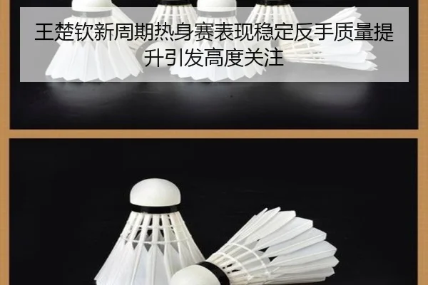 王楚钦新周期热身赛表现稳定反手质量提升引发高度关注
