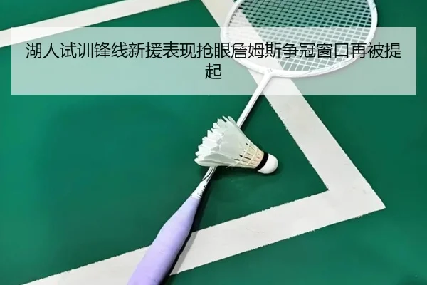 湖人试训锋线新援表现抢眼詹姆斯争冠窗口再被提起